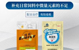 鸡下软壳蛋吃什么药，这样做很靠谱 【汇彩网登录大厅兽药】