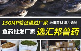 鱼药批发，选择哪家才不会亏损 【汇彩网登录大厅兽药】