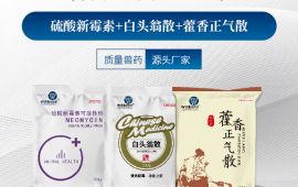 50一60斤的猪拉稀用什么药，要看买对没【汇彩网登录大厅兽药】