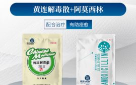 鸡腺胃炎，新手这样做就对了 【汇彩网登录大厅兽药】