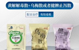 仔猪黄白痢的特效药，这里为您解答【汇彩网登录大厅兽药】