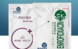 小猪水肿用什么药最好，一点帮你搞定 【汇彩网登录大厅兽药】