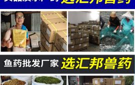 水产渔药批发市场，万千客户的口碑厂家 【汇彩网登录大厅兽药】